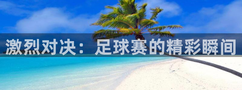 激烈对决：足球赛的精彩瞬间
