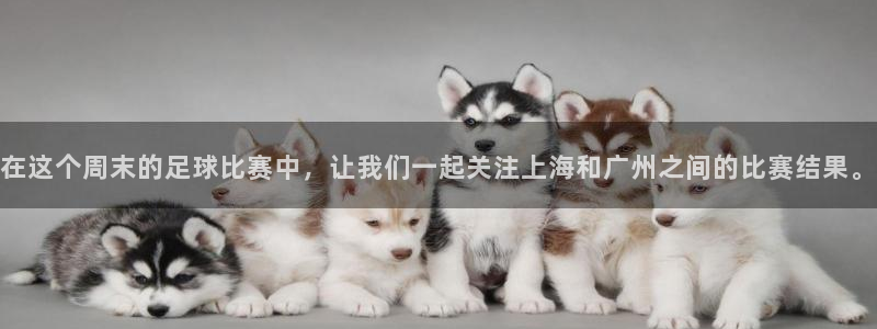 mk体育平台网址：在这个周末的足球比赛中，让我们一起关注上海