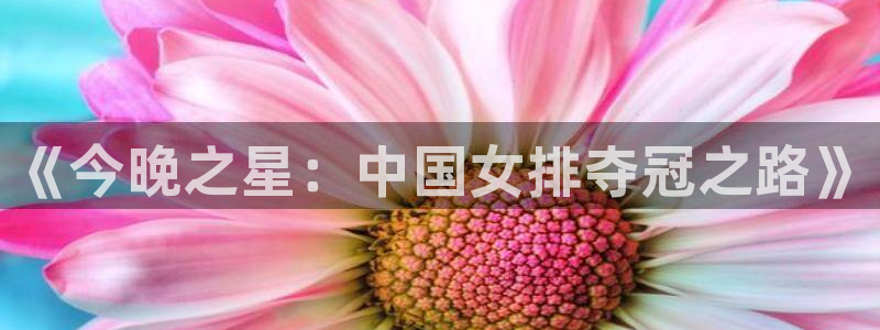 mk体育平台入口注册：《今晚之星：中国女排夺冠之路》